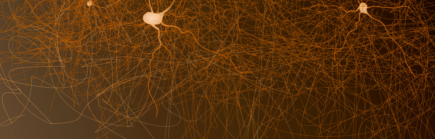 neurociência