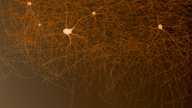 neurociência